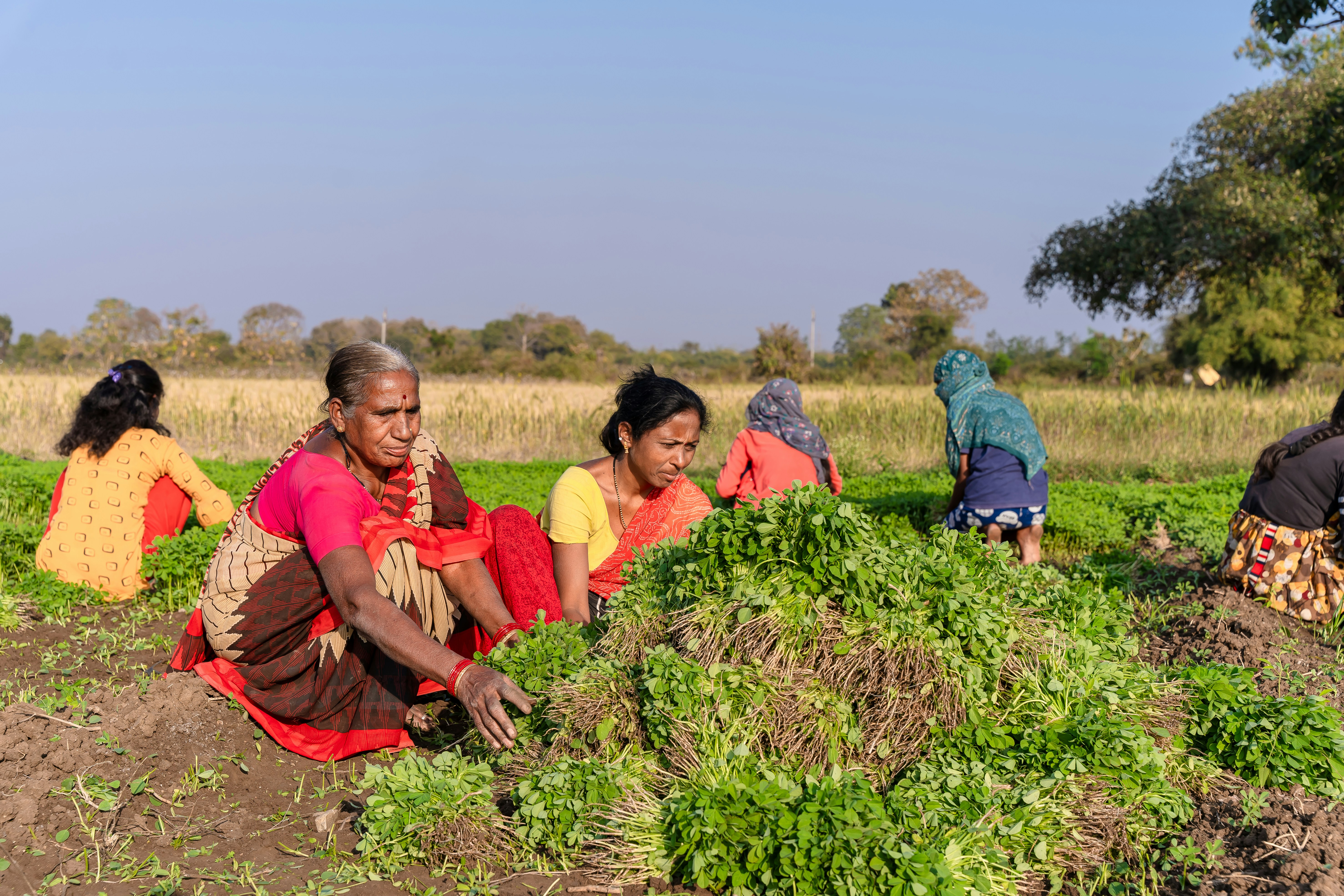 Soil Health